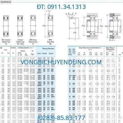 Thông số kỹ thuật Vòng bi NSK 62/22, Bạc đạn NSK 62/22, NSK 62/22ZZ, NSK 62/22 ZZ, NSK 62/22ZZNR, NSK 62/22 ZZNR, NSK 62/22DDU, NSK 62/22 DDU, NSK 62/22DDUNR, NSK 62/22 DDUNR, NSK 62/22VV, NSK 62/22 VV, NSK 62/22VVNR, NSK 62/22 VVNR