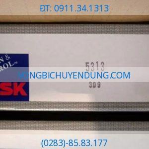 NSK 5313